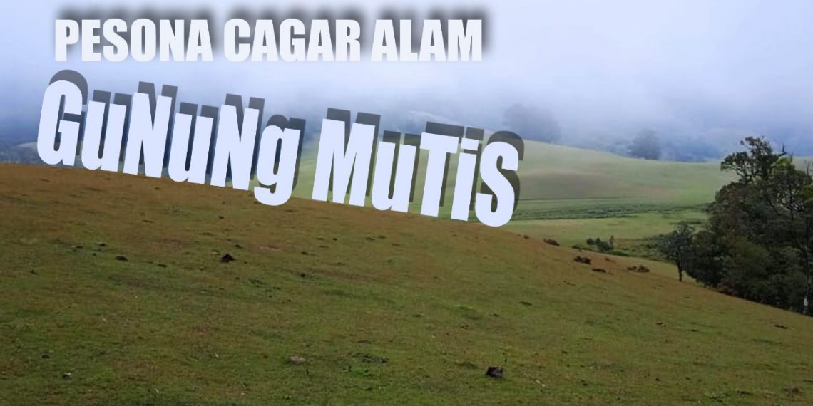 Pesona mistis Cagar Alam Gunung Mutis (Redaksi Katongntt.com)