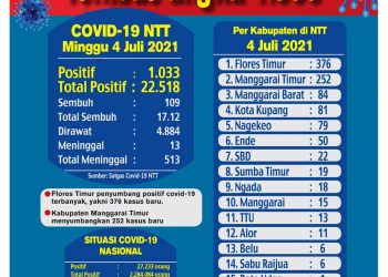 Grafis Covid-19 di NTT-katongntt.com