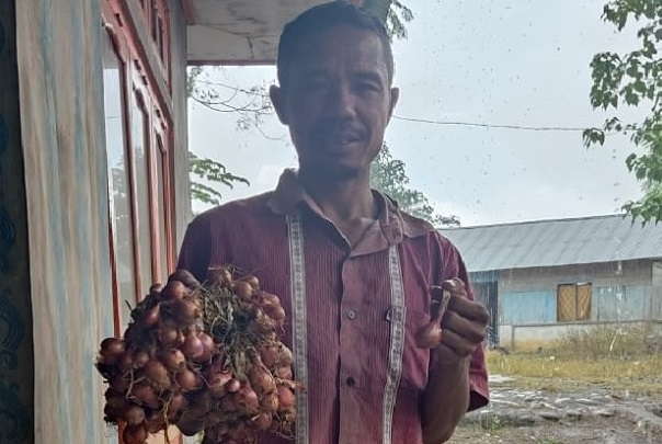 Kanisius Bas budidaya bawang merang dengan biji. (Agrifood.id)
