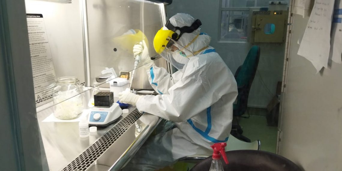 Ilustrasi Petugas memeriksa sampel tes rapid sehubungan pandemi Covid-19 di Kota Kupang, NTT. (KatongNTT.com)