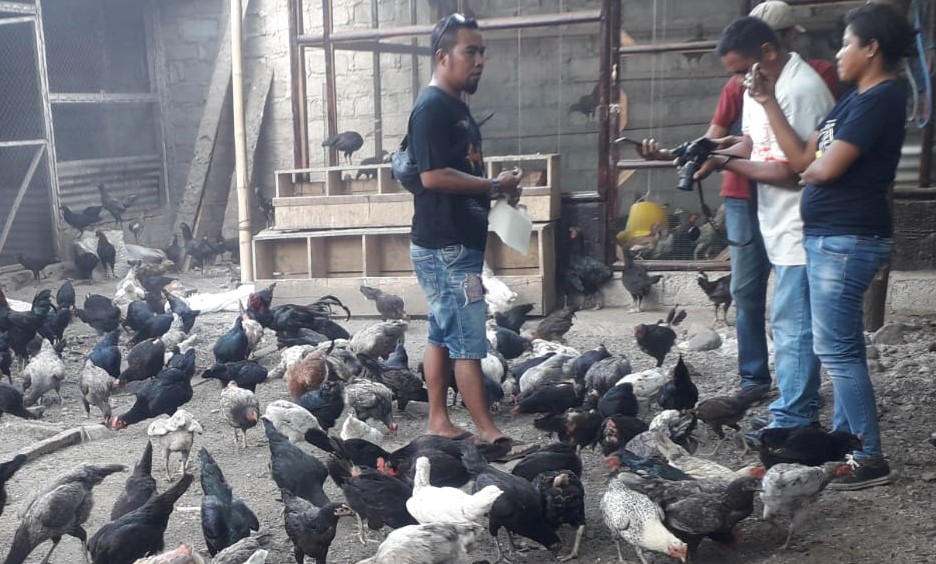 Damianus-Rofin-Sere-Muda-saat-diwawancari-awak-media-di-kandang-ayam-kampung-miliknya di Kabupaten Flores Timur, NTT,Kamis, 19-Agustus-2021. (SUN-Katongntt.com)