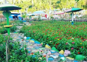 -Suasana-taman-wisata-payung-dan-bunga-di-TTS, 30 Agustus 2021 (Gi-KatongNTT.com)