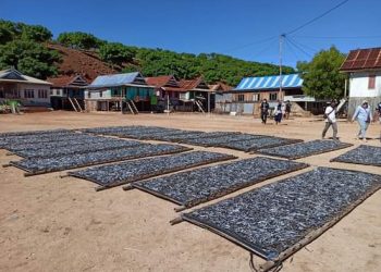 Aktivitas-warga-Pulau-Seraya-Kecil-Kelurahan-Labuan-Bajo-Kabupaten-Manggarai-Barat-NTT (Ri-KatongNTT.com)