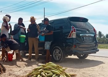 Penjual jagung rebus di Oesao berebutan menawarkan jualan pada pengendara yang berhenti (Joe-KatongNTT)
