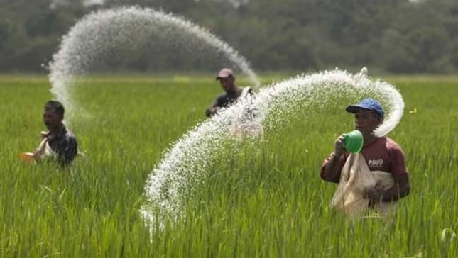 Ilustrasi-Petani-dan-Pupuk-Photo-by-Klik-Hijau