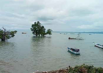 Kisah Dewa, Nelayan Oesapa Menjaga Ekosistem Laut