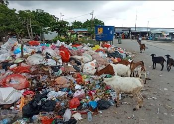 Sampah di Pasar Oesapa Menumpuk, Begini Curhat Petugas Oranye