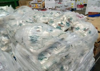 Singkong beku dijual di pasar Flemington, Sydney, Australia yang buka setiap akhir pekan (KatongNTT.com)