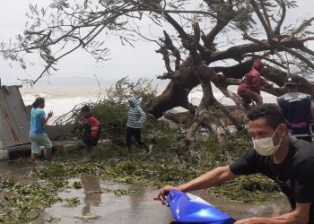 Ilustrasi angin kencang (KatongNTT.com)