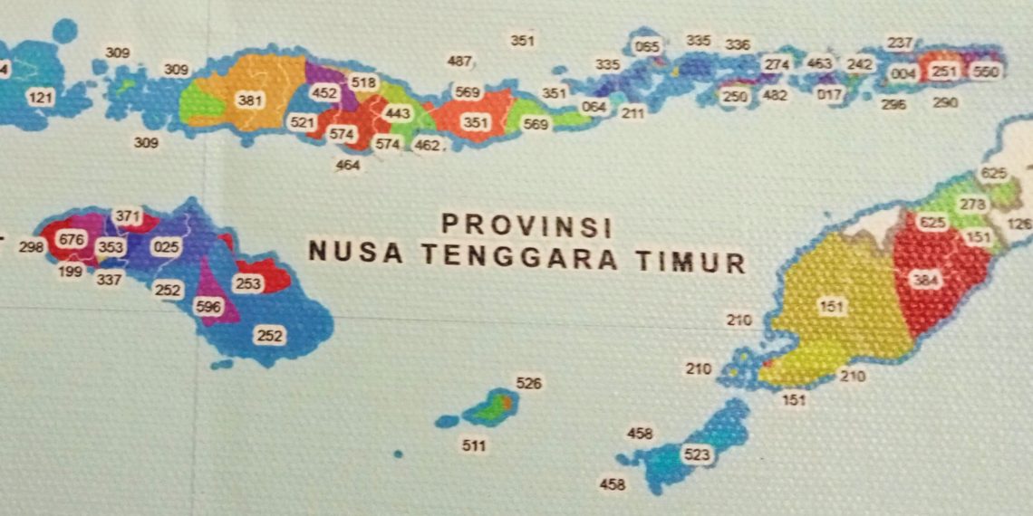 Peta bahasa daerah di NTT. Tahun ini 5 bahasa daerah direvitalisasi (Joe-KatongNTT)