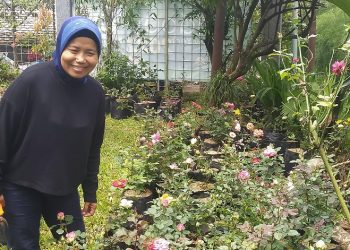 Tri Mumpuni yang dijuluki wanita listrik mengusulkan NTT mengembangkan koperasi berbasis enegeri. (KatongNTT)
