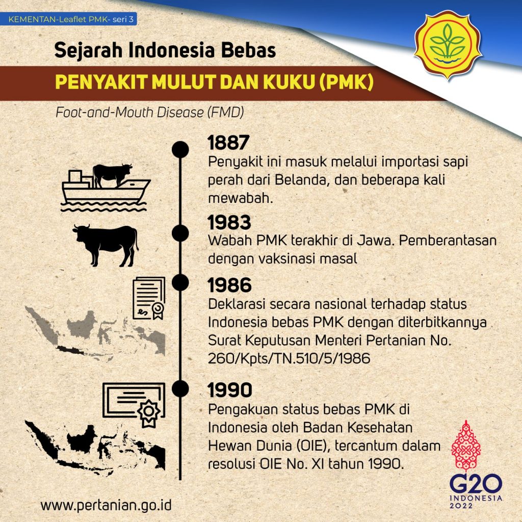 Sejarah Indonesia bebas Penyakit Mulut dan Kuku  (PMK) pada Hewan Ternak (Dok. KatongNTT)
