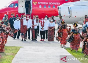 Jokowi ke Sumba Timur, Bupati Keluhkan  Hama Belalang Puluhan Tahun Tak Teratasi