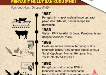 Sejarah Indonesia bebas dari PMK (KatongNTT.com)