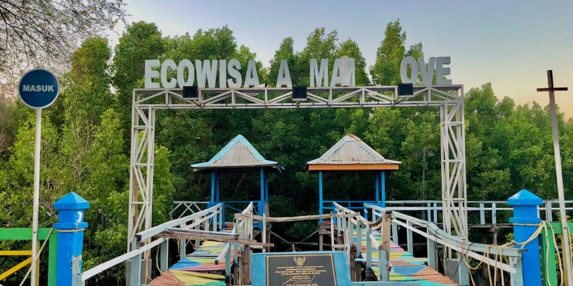 Ekowisata Mangrove di kawasan Oesapa Barat, Kota Kupang, Provinsi NTT rusak berat akibat badai Seroja namun tak kunjung diperbaiki. (Ruth-KatongNTT.com)