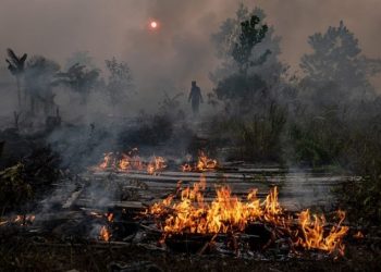 Wilayah NTT memasuki puncak musim kemarau, karena itu perlu mewaspadai potensi kebakaran hutan dan lahan
