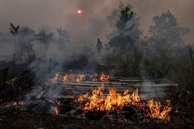 Wilayah NTT memasuki puncak musim kemarau, karena itu perlu mewaspadai potensi kebakaran hutan dan lahan