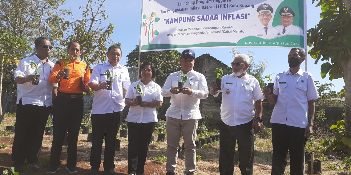 Kepala BI NTT, I Nyoman Ariawan Atmaja (tiga dari kanan) bersama Wakil Wali Kota Kupang Hermanus Man menaman cabe di Kelurahan Kayu Putih sebagai upaya menekan inflasi (Joe-KatongNTT)