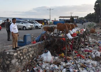 Penjabat Wali Kota Kupang, George Hadjoh saat memantau sampah di pasar Oesapa (PKP Kota Kupang)