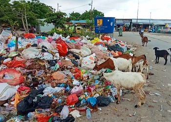 Sampah menumpuk di sekitar pasar Oesapa, Kota Kupang. WALHI NTT Pastikan Gugat Pemkot Kupang Soal tata kelola sampah (Joe-KatongNTT)
