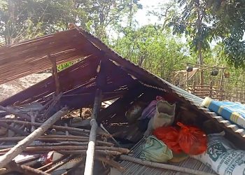 Salah satu rumah warga Besipae yang digusur. Sikap Pemprov NTT menggusur rumah warga dipertanyakan DPRD NTT (Joe-KatongNTT