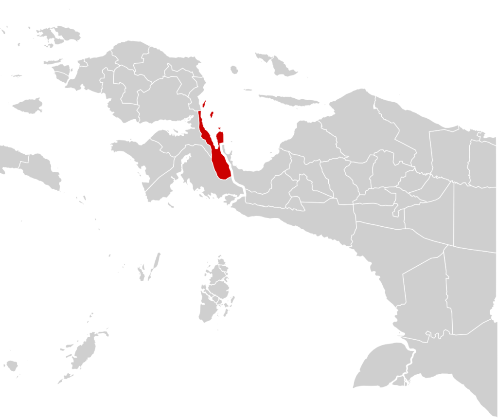 Peta Kabupaten Teluk Wondana di Papua Barat