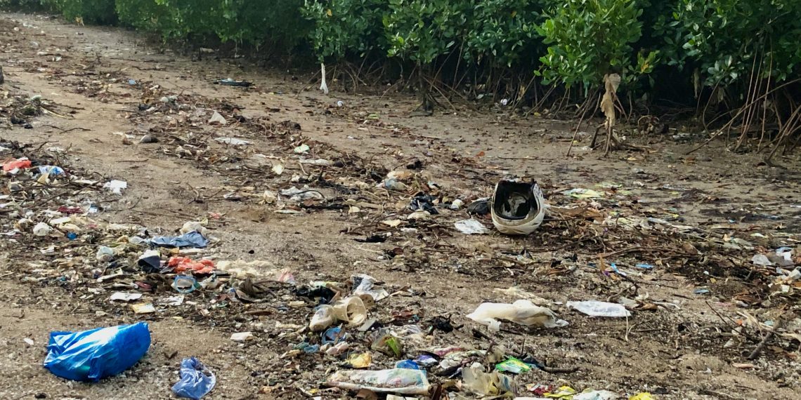 Sampah Plastik kiriman dari sungai di Liliba yang berujung di Ekowisata Mangrove Oesapa, Kupang, NTT. (Ruth-KatongNTT)
