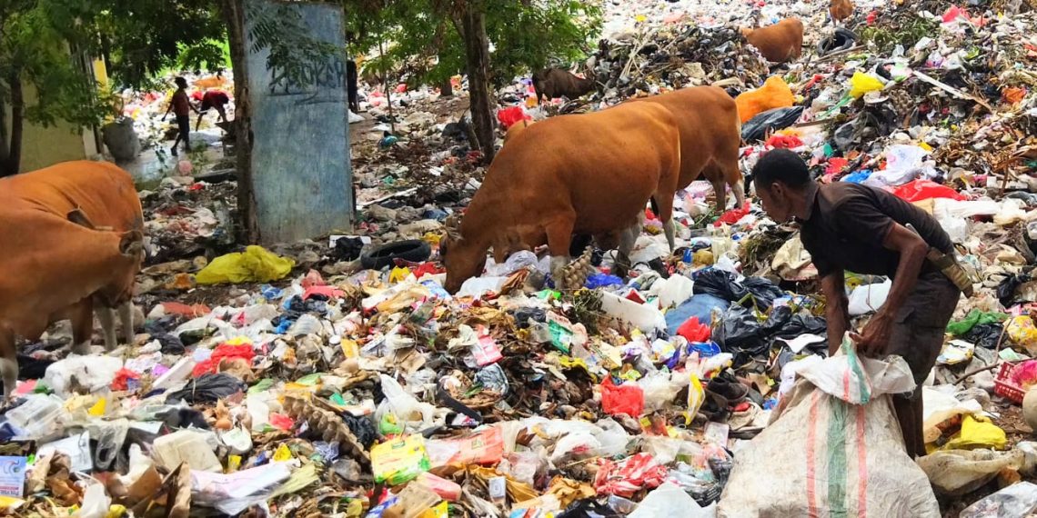 Pemulung dan sapi mengais sampah di TPA Alak, Kota Kupang demi bertahan hidup. (Putra Bali Mula - KatongNTT.com)