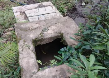 Penampungan air kotor dari parit di desa Wolowea Kabupaten Nagekeo, Provinsi NTT (Dok.Dobo Deu )