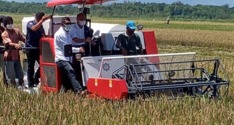 Panen padi di Food Estate di Kabupaten Sumba Tengah tahun 2022, (Dok. SinarTani)