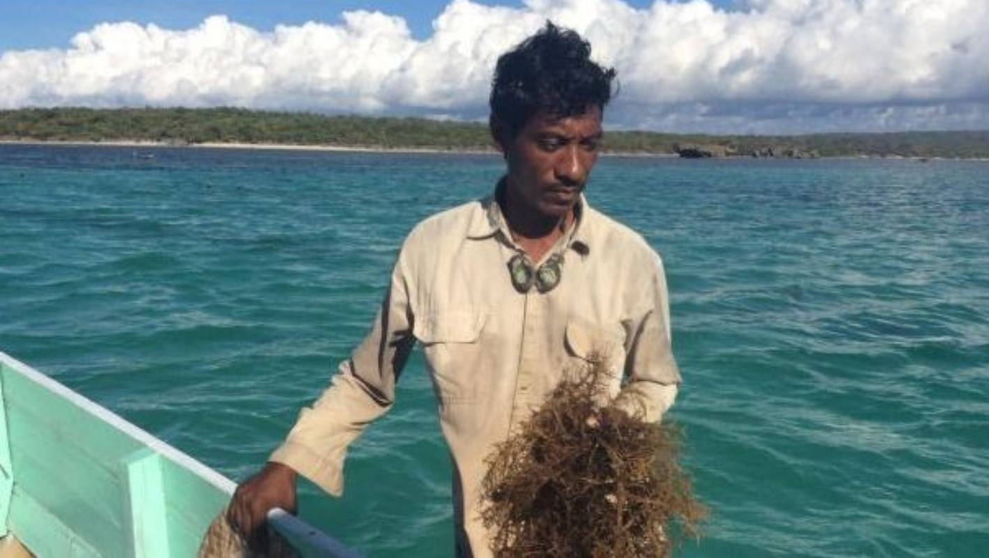 Korban Tunggu Ganti Rugi, Terbitkan Perpres Pencemaran Laut Timor