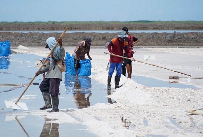 Impor Capai 2,8 Juta Ton, Bagaimana Kabar Garam NTT?