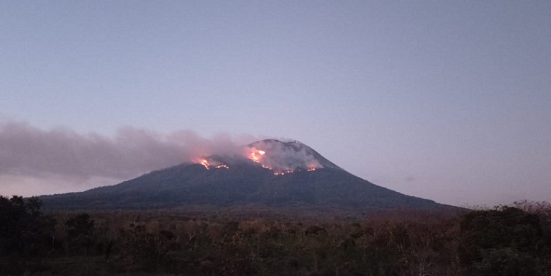 Semua Daerah di NTT Sangat Mudah Terjadi Kebakaran Hutan dan Lahan