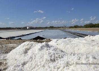 Impor Meningkat, 13 Menteri Hingga Presiden Pernah Berkunjung dan Bahas Garam NTT