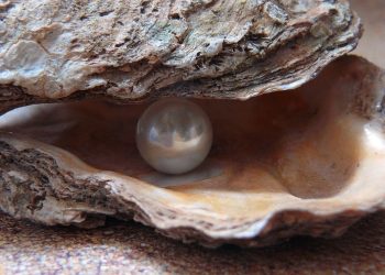 NTT Ekspor Mutiara dan Cakalang ke Jepang