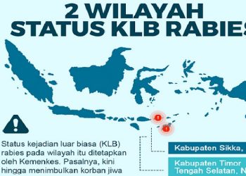 Rabies Ancaman Pariwisata Bali, Bandung Gelar Vaksinasi Gratis
