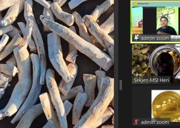 Optimalkan Singkong, NTT Bisa Kurangi Ketergantungan Beras dari Luar