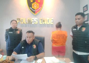 Muslihat Arisan Online, Wanita Ende Raup Rp 3,2 Miliar 