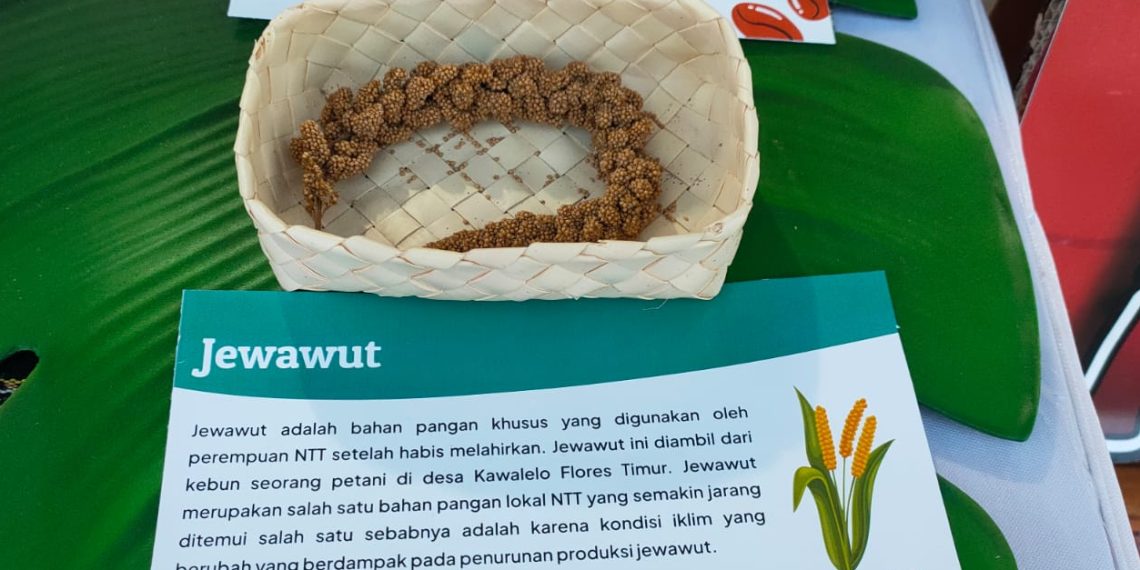 Jewawut, jenis pangan lokal NTT yang dipamerkan di Pesta Raya Flobamoratas, 3-4 November 2023 di Kota Kupang. (Rita Hasugian-KatongNTT.com)