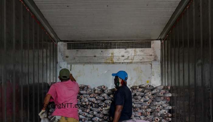 ATSEA Gagas Program Kakap Merah di Laut Arafura dan Laut Timor