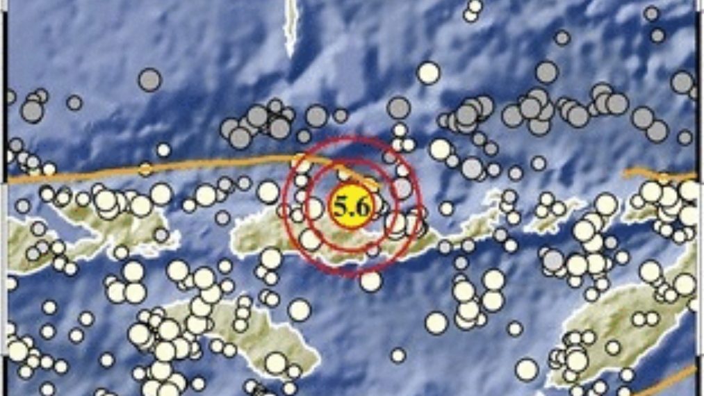 Gempa Beruntun Guncang Nagekeo, Tak Berpotensi Tsunami