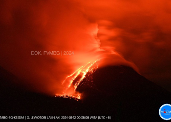 Korban Erupsi Lewotobi Capai 7.015 Jiwa Versi Data ASEAN