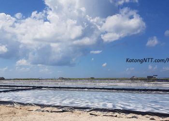 Impor Garam Industri 2024 Bisa 2,4 Juta Ton, Optimalkan Potensi NTT