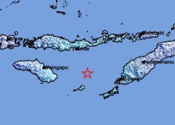 Gempa Besar di Laut Sawu Terasa di 7 Kota 
