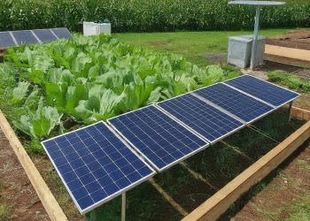 Sistem Pertanian Pintar Violet Sun Agro+ Jajal Kupang