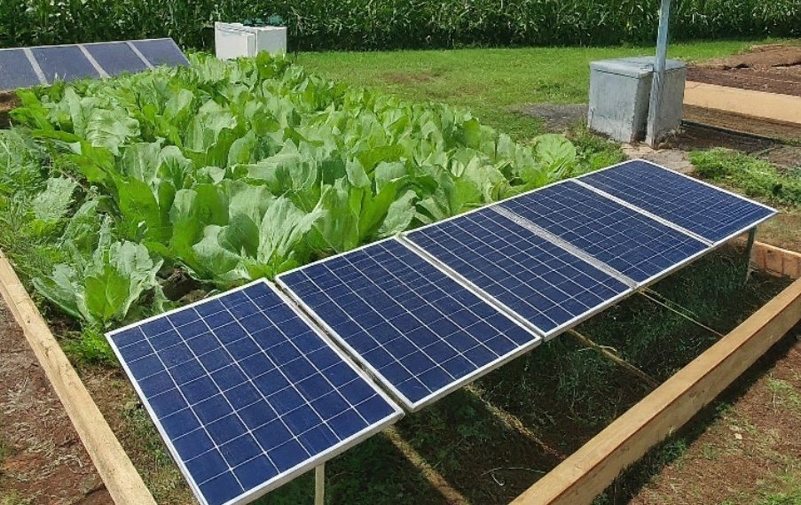 Sistem Pertanian Pintar Violet Sun Agro+ Jajal Kupang