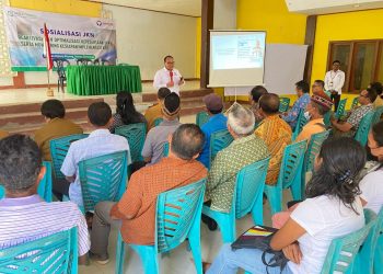 Ketua Ombudsman RI Soroti Layanan Kesehatan yang Belum Memadai di Flores