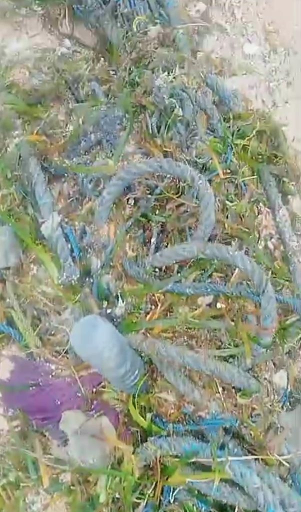 Tali-tali rumput laut milik nelayan Desa Tablolong, Kecamatan Kupang Barat, Kabupaten Kupang, NTT berputusan diterjang gelombang tinggi Laut Timor pada awal Februari 2025. (Dok.,Daniel Doan)