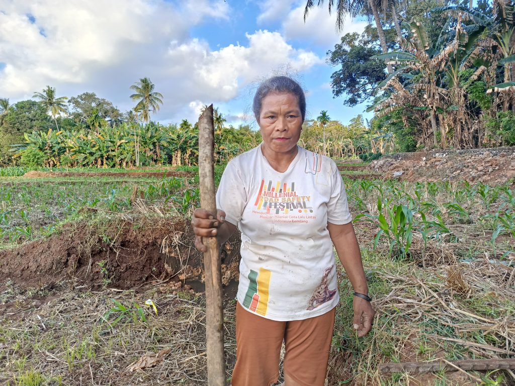 Yuliana, petani dari kelompok tani Noepes, Desa Baumata Barat, Kecamatan Taebenu, Kabupaten Kupang, memegang batang kayu Gamal untuk membuat lubang untuk kemudian dimasukkan beberapa biji jagung, kacang nasi, sorgum. Metode ini disebut salome atau tanam bersama satu lubang. (Riandi Kore/KatongNTT)