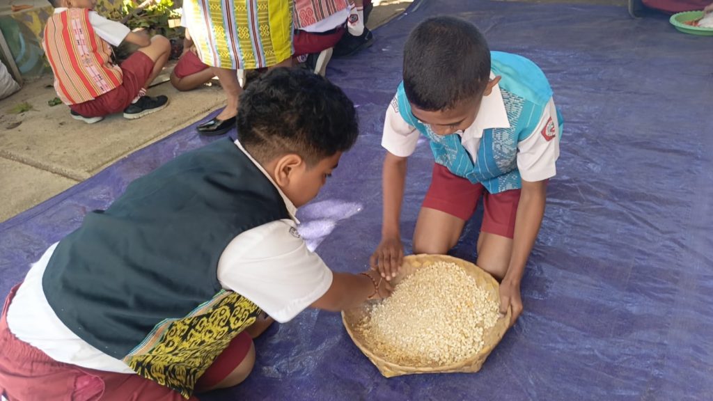 Dua siswa kelas 6A SD GMIT 01 Soe, TTS  menampi biji jagung putih yang sudah ditumbuk menggunakan lesung pada Kamis, 14 Agustus 2025. Keduanya bertugas memisahkan kulit dari biji jagung sebelum direbus untuk menghasilkan jagung bose, makanan khas Pulau Timor. (Riandi Kore/KatongNTT)